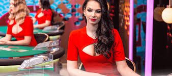 16 apk - এর দলীয় মূল্যবোধ ও কর্মপরিবেশ
